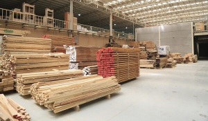 کارآفرینی با چوب , کسب درآمد در صنایع چوب