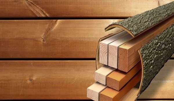 عوامل تعیین کننده استحکام چوب